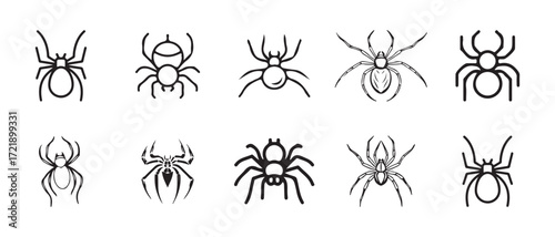 spider vector icon, Spider icon outline set, Spider line icon, Set of silhouette spider icon isolated, vector illustration EPS 10.