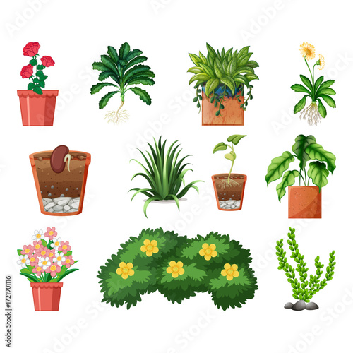Collection of various potted plants and blooming flowers isolated on white background