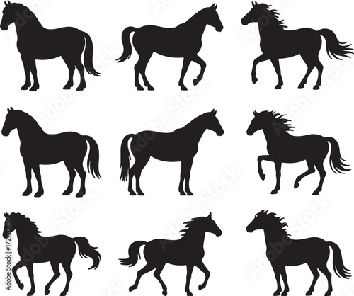 horse silhouette set. horse different poses isolated farm animal silhouette icon vector collection