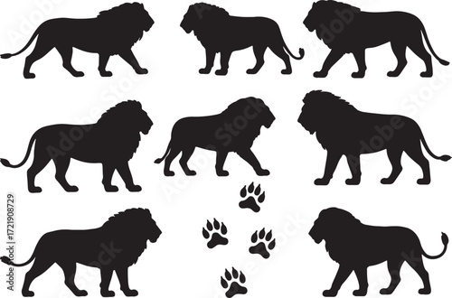 Lion silhouette vector set walking lion vector illustration african animal wildlife king of beasts design on trans