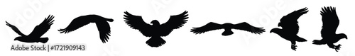 eagle or hawk silhouettes with broad wings