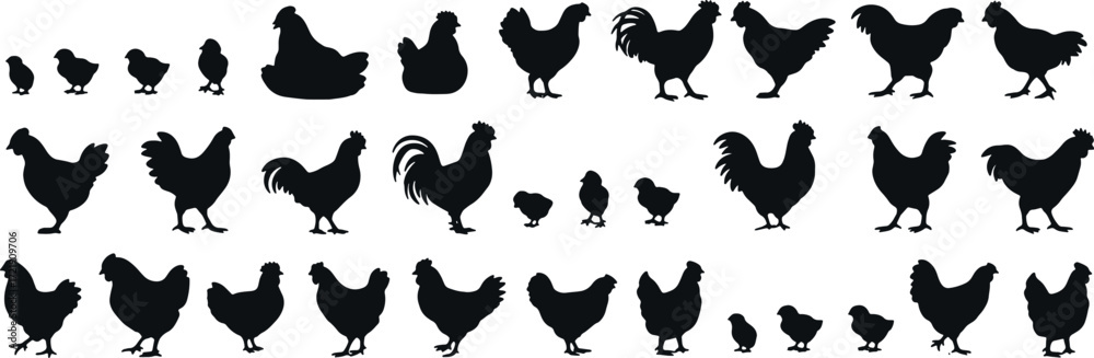 Fototapeta premium Chicken Silhouette Set — Farm Poultry Bird Vector Illustration, Editable EPS