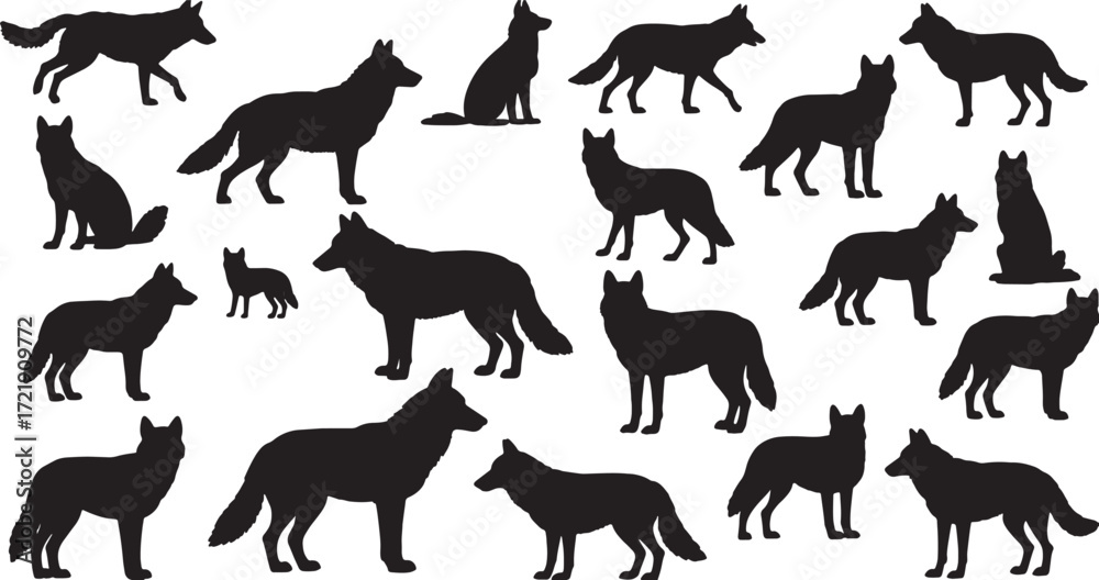 Obraz premium Set of wolf silhouettes including howling and standing wolves, editable EPS vector.