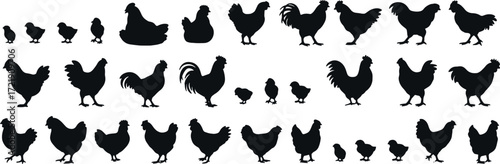 Chicken Silhouette Set — Farm Poultry Bird Vector Illustration, Editable EPS