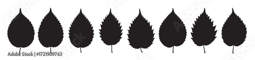elm leaf silhouette white background vector
