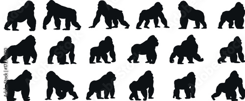 Set of Gorilla Silhouettes in Different Poses Vector Collection.