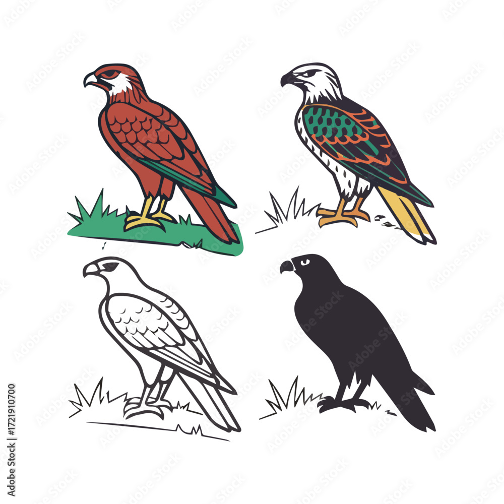 Obraz premium Stylized Falcon/Hawk Illustrations and Silhouette Set
