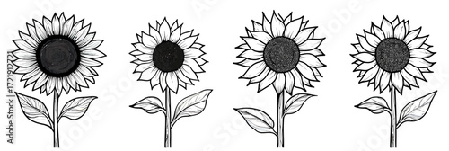 Black and white sunflower line art set with detailed petals and leaves minimalist floral outline vector illustrations for design and decoration