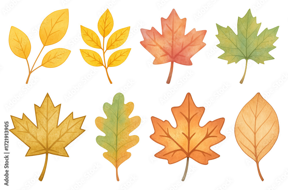 Fototapeta premium PNG Colorful autumn leaves illustration, element set on transparent background