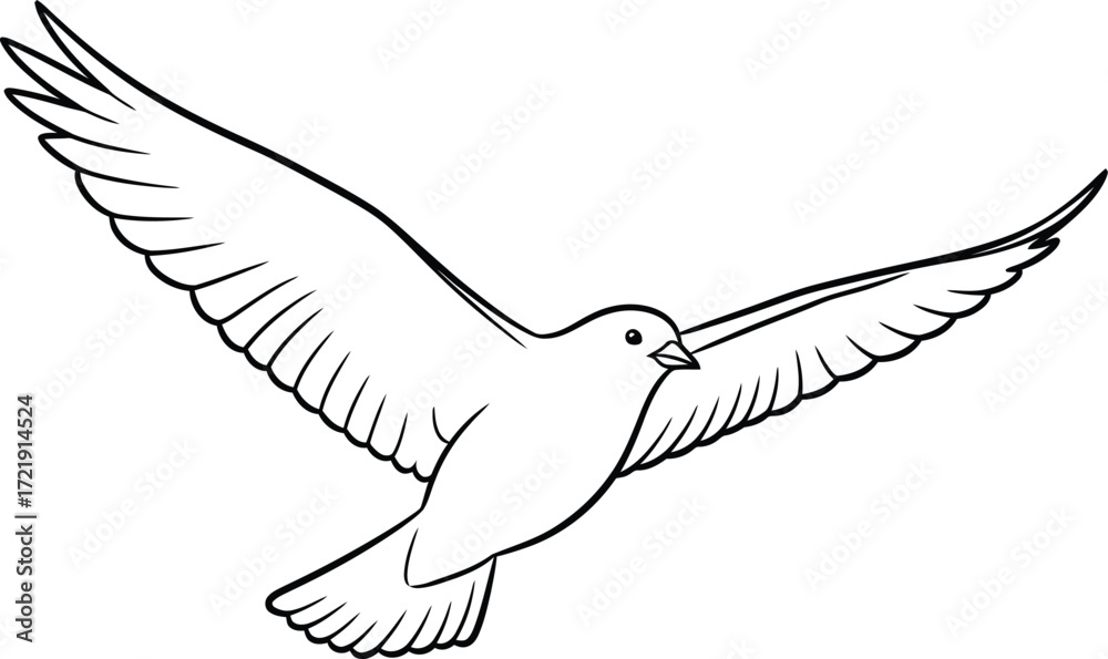 Fototapeta premium A simple black and white line drawing of a dove in flight with its wings spread wide.