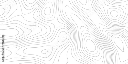 Modern Transparent PNG Map with Abstract, Fluid Topographic Lines on a Clean White Background, Professional Design and Mapping Projects in the Geospatial Industry, Ideal for Creative.