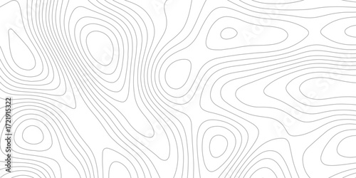 Modern Transparent PNG Map with Abstract, Fluid Topographic Lines on a Clean White Background, Professional Design and Mapping Projects in the Geospatial Industry, Ideal for Creative.