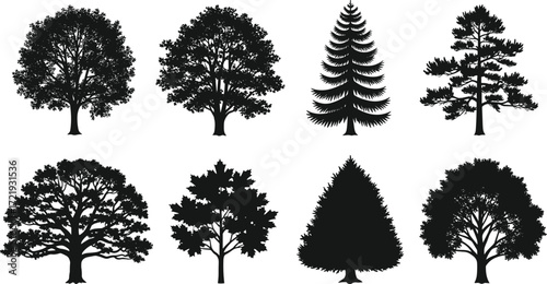 Tree silhouette set, diverse tree shapes illustration, black nature graphic, foliage variation design, botanical comparison art, white background