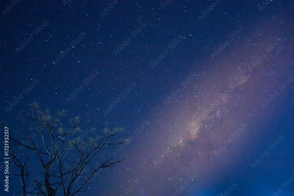 Obraz premium Milky Way Over the Savanna of Sumba 