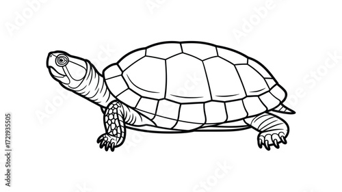 Black and white line drawing of a tortoise on a white background