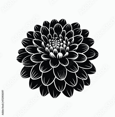 Monochrome Dahlia Blossom An Elegant Floral Silhouette Depicting Ornamental Beauty A Black and White Vector Design