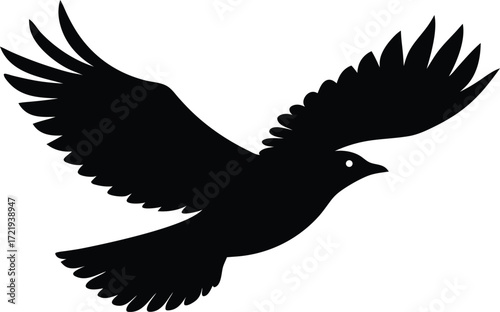  flying bird vector, avian wildlife silhouette illustration