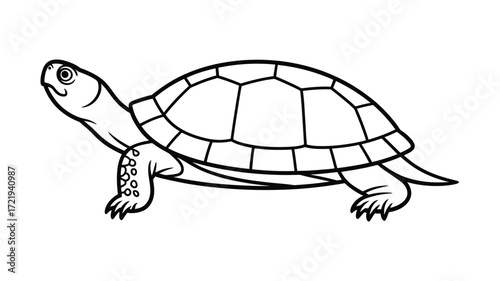 Simple line drawing of a turtle in profile