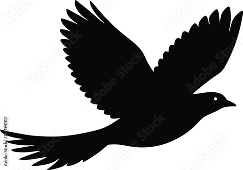  flying bird vector, winged creature silhouette illustration  