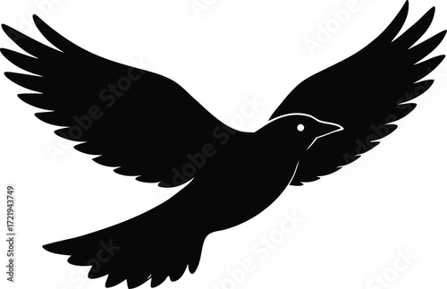  flying bird vector, sky animal silhouette illustration  
