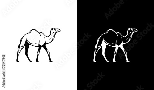 A black-and-white vector illustration of a standing dromedary camel, shown in side view facing right, with a single hump, slender legs, and minimal line details highlighting its body contours.