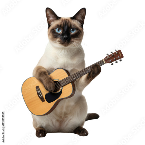 Siamese cat playing guitar isolated on transparent background