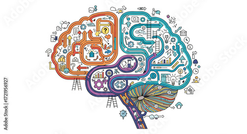 Understanding the complex inner workings of the human brain and its intricate connections.