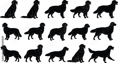 Dog silhouette collection, black retriever poses, sitting, walking, turning, pet posture set, animal outline, vector graphic, isolated, editable