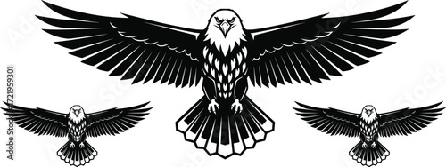 Eagle illustration, graphic eagle, symmetrical design, bold wings, fierce bird, geometric feathers, wildlife art, freedom symbol, majestic raptor, vector animal