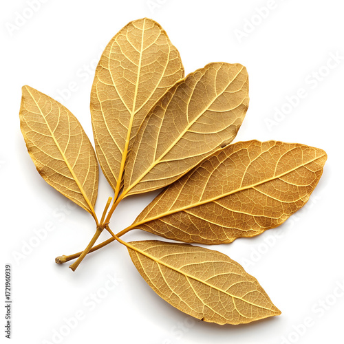 Dried fenugreek leaves, known as Kasuri Methi, isolated on a white background, used as a flavorful herb
