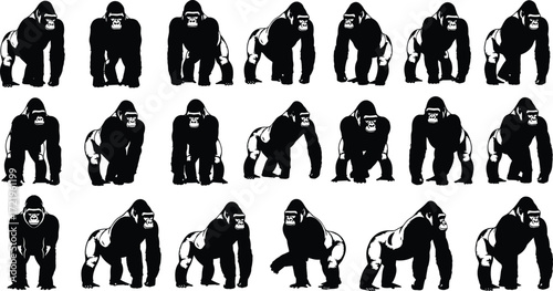 Gorilla illustration grid, black and white primate art, stylized animal design, muscular pose, wildlife concept, bold graphic pattern