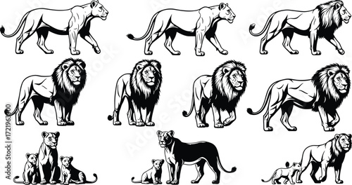 Lion, lioness, cubs, wildlife, animal family, African savannah, nature, predator, majestic, illustration, black and white, group, pose, behavior, feline, pride, sketch, standing, walking