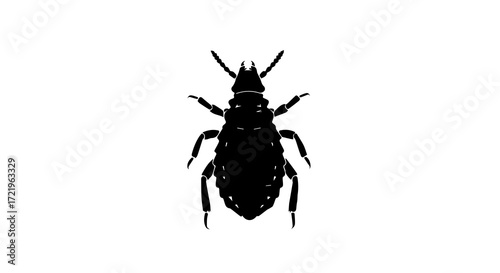 Black and white silhouette of a bedbug  on a white background