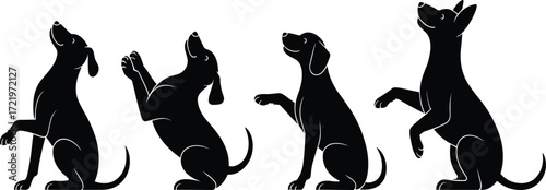 Dog silhouettes sitting and begging, animal posture illustration, pet behavior concept, vector art, canine design, training scene, playful pose, creative style