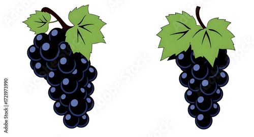 grapes cartoon, grapes with leaves cartoon, grapes art, bunch of grapes drawing, grape cluster cartoon, grapes flat design, grapes emoji style, grapes character, grapes with face, animated grapes, gra