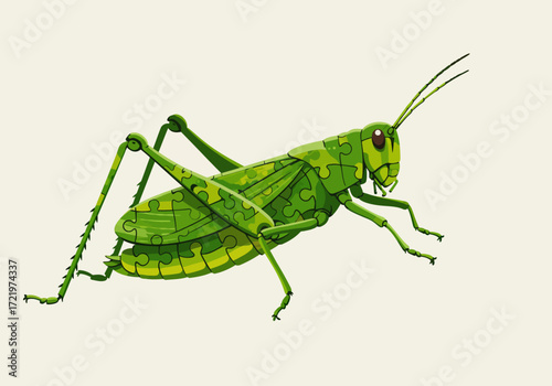 Green Grasshopper Puzzle Illustration with Detailed Legs and Antennae.