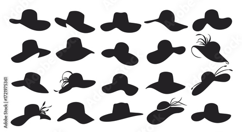 Silhouette collection of elegant women's hats with wide brims, a variety of styles and decorations.