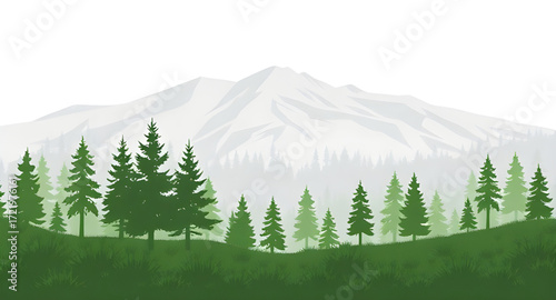forest cartoon, cartoon autumn forest, cartoon spring forest, cartoon pine trees, cartoon jungle scene, cartoon adventure background, cartoon forest scenery, cartoon fairyland forest, cartoon hiking b