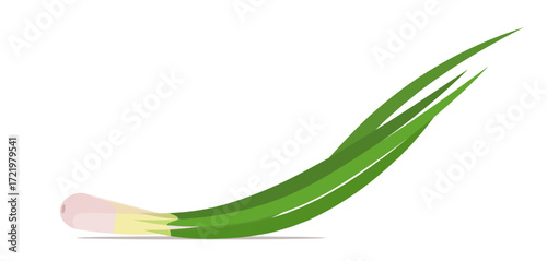 Green onion isolated on white background. Healthy organic raw vegan food. Vector Not AI generated