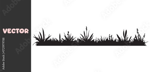 Black silhouette of wild grass and reeds against a white background