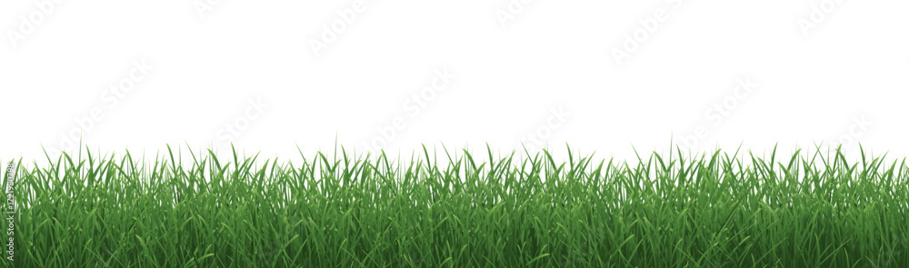 Fototapeta premium Grass Border With Isolated White Background