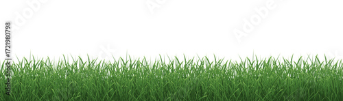 Grass Border With Isolated White Background