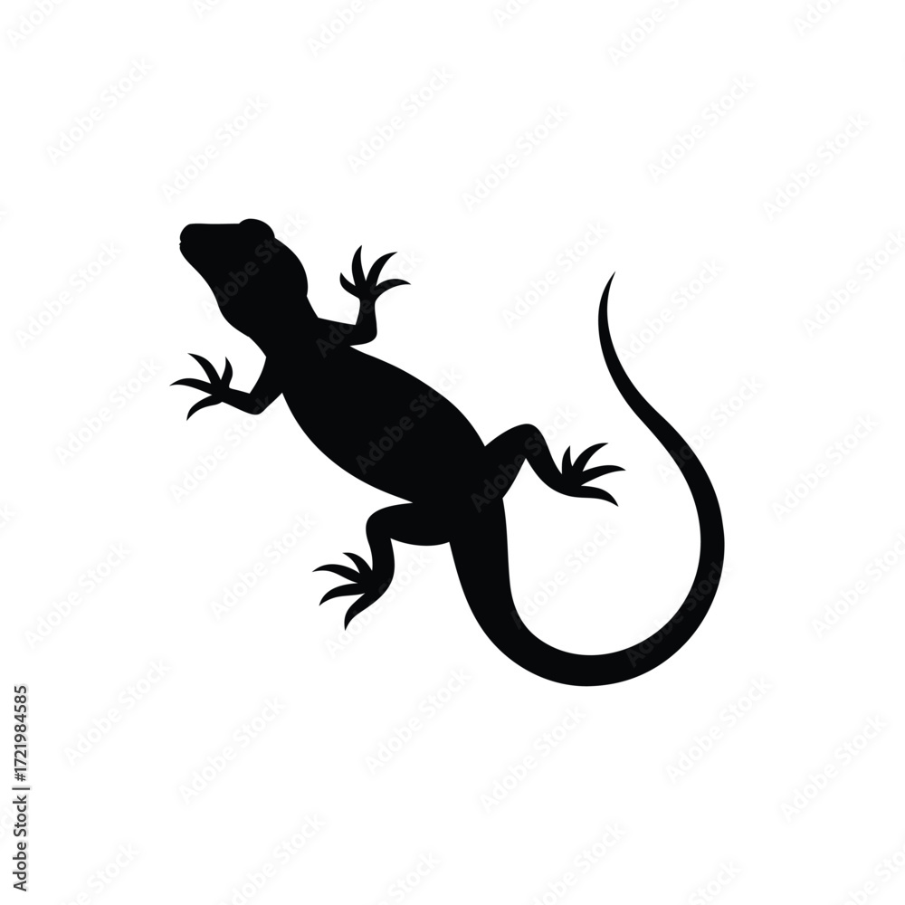 Naklejka premium Adobe Illustrator Artwork