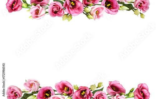 Pink eustoma flowers in a l...