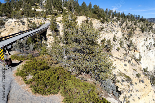Hell's Backbone Road and bridge, Dixie National Forest, Utah