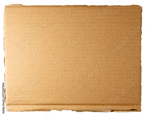 Wallpaper Mural brown cardboard  carton sheet isolated on white background Torontodigital.ca