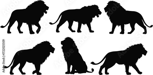 Black lion silhouettes collection, standing, walking, sitting poses, wildlife illustration, animal vector art, majestic mane, safari design, predator profile, feline