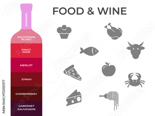 Wine and food pairing chart. Vector illustration of a wine bottle with matching dishes. Elegant infographic design for a menu, restaurant, sommelier guide, or culinary poster.