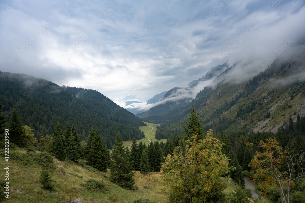 Fototapeta premium Expansive green forested valley along the Tour du Mont Blanc route in the French Alps, ideal for travel, tourism, and nature themes.