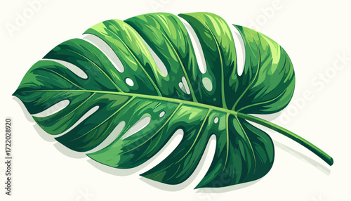 Vibrant green Monstera leaf illustration, showcasing the lush beauty and intricate fenestrations of tropical flora, a symbol of natural elegance and exotic plant design